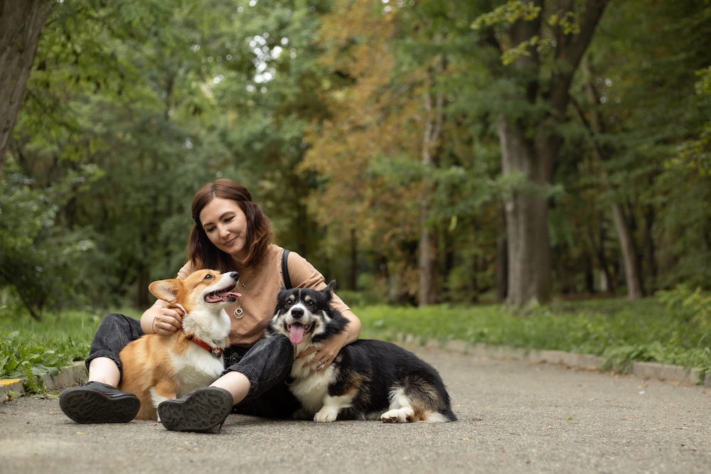 Pet Sitters, dog walkers, cat sitters in Garland DFW Pet Sitting